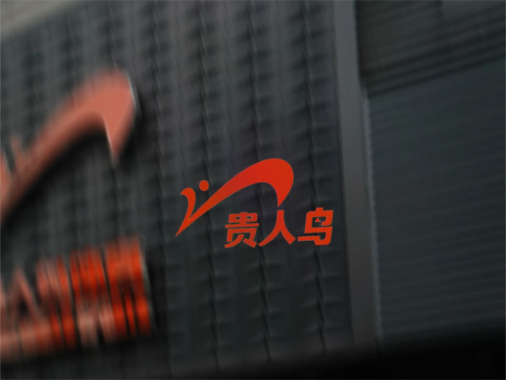 贵人鸟